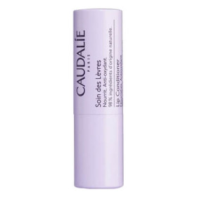 Lip Conditioner