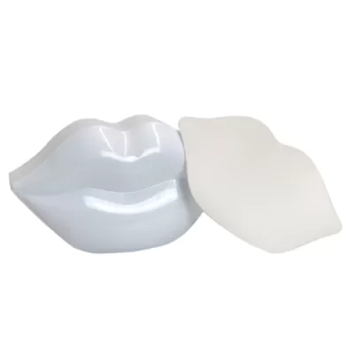 Dermomedica PLUMP & HEAL LIP MASK moisturizing mouth mask 20pcs